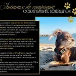 Apartman Le - De Charme (adults Only)